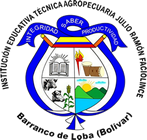 Escudo Institucional